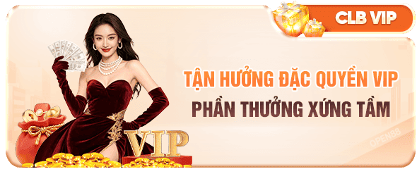 đặc quyền VIP